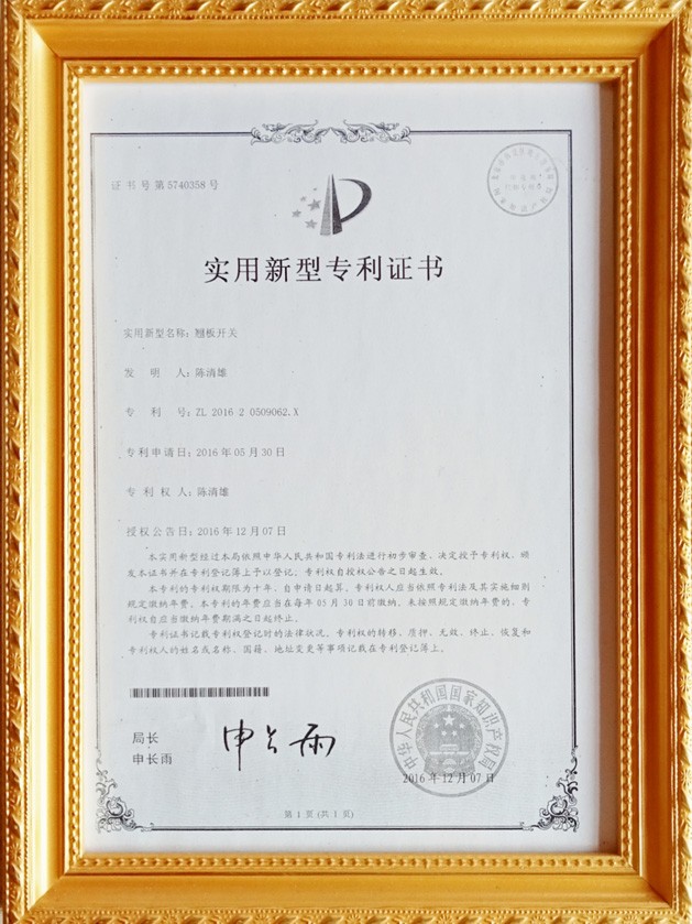 翹板開(kāi)關(guān)專(zhuān)利